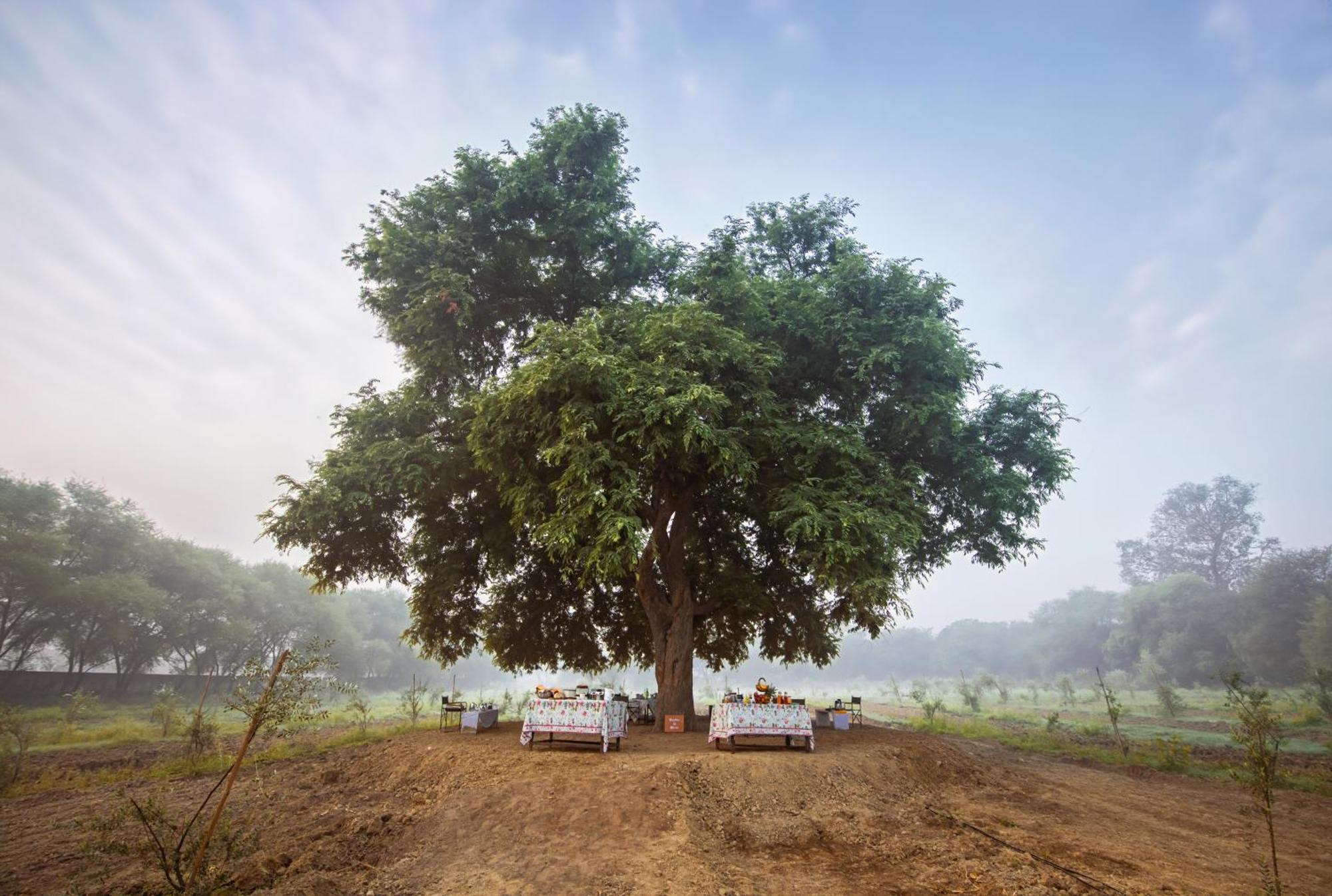 Mela Kothi - The Chambal Safari Lodge Bāh Dış mekan fotoğraf