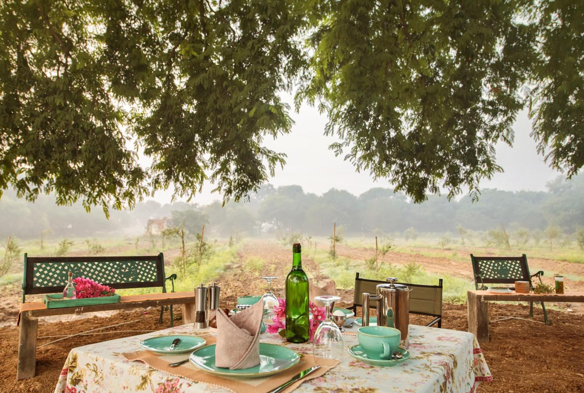 Mela Kothi - The Chambal Safari Lodge Bāh Dış mekan fotoğraf