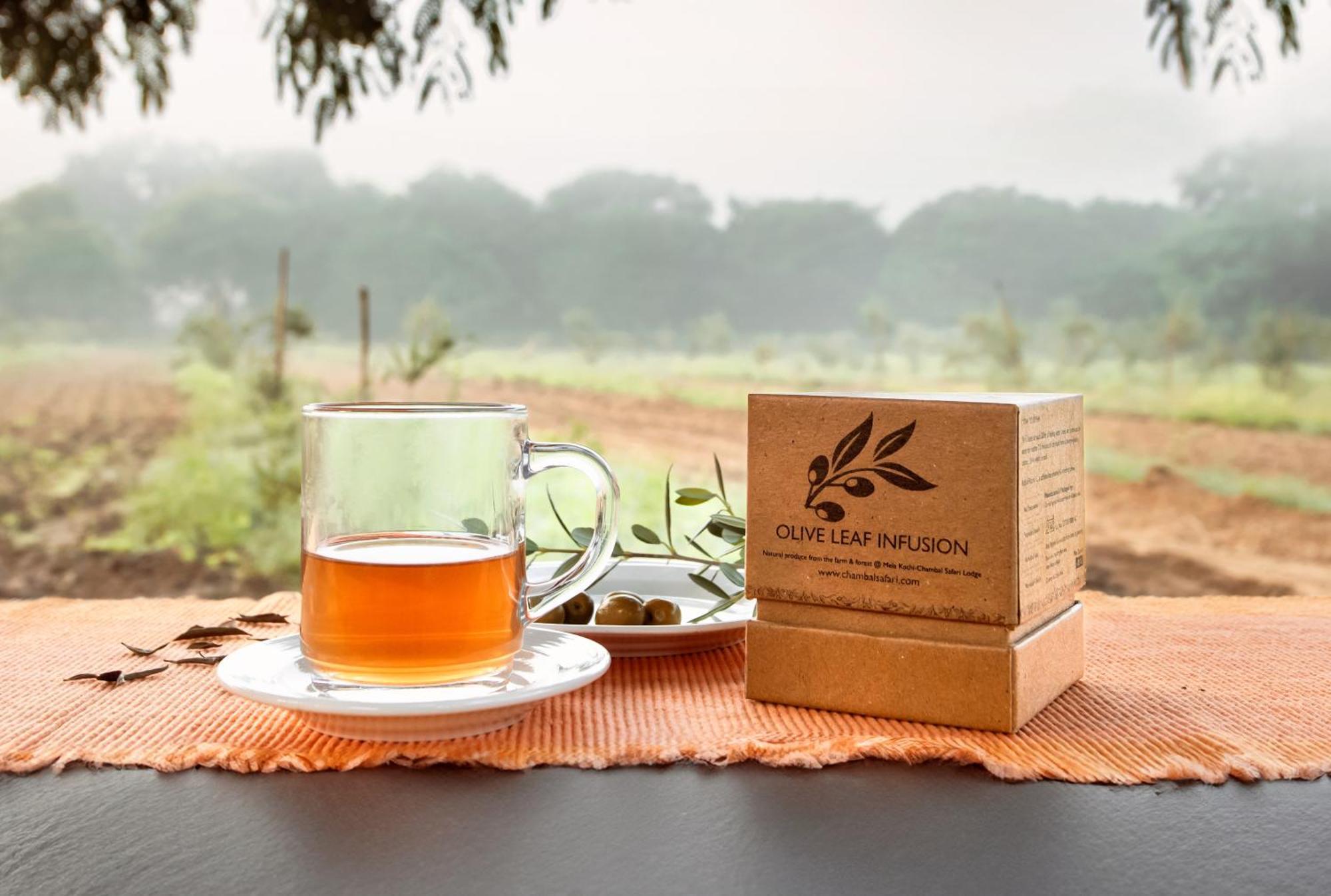 Mela Kothi - The Chambal Safari Lodge Bāh Dış mekan fotoğraf