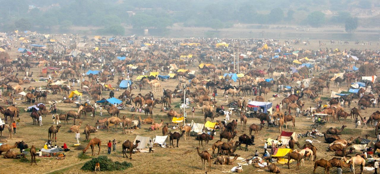 Mela Kothi - The Chambal Safari Lodge Bāh Dış mekan fotoğraf